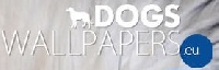 Background images from dogs-wallpapers.eu